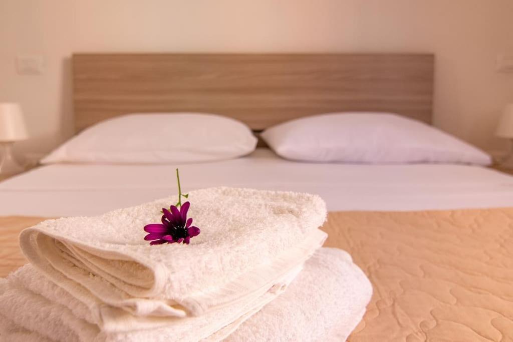 Aela Holiday home Pisa